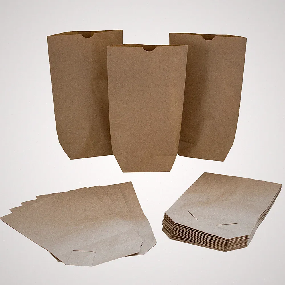 24 Bodenbeutel Kraftpapier Geschenktüten 16,5x26cm Gastgeschenk Hochzeit Advent