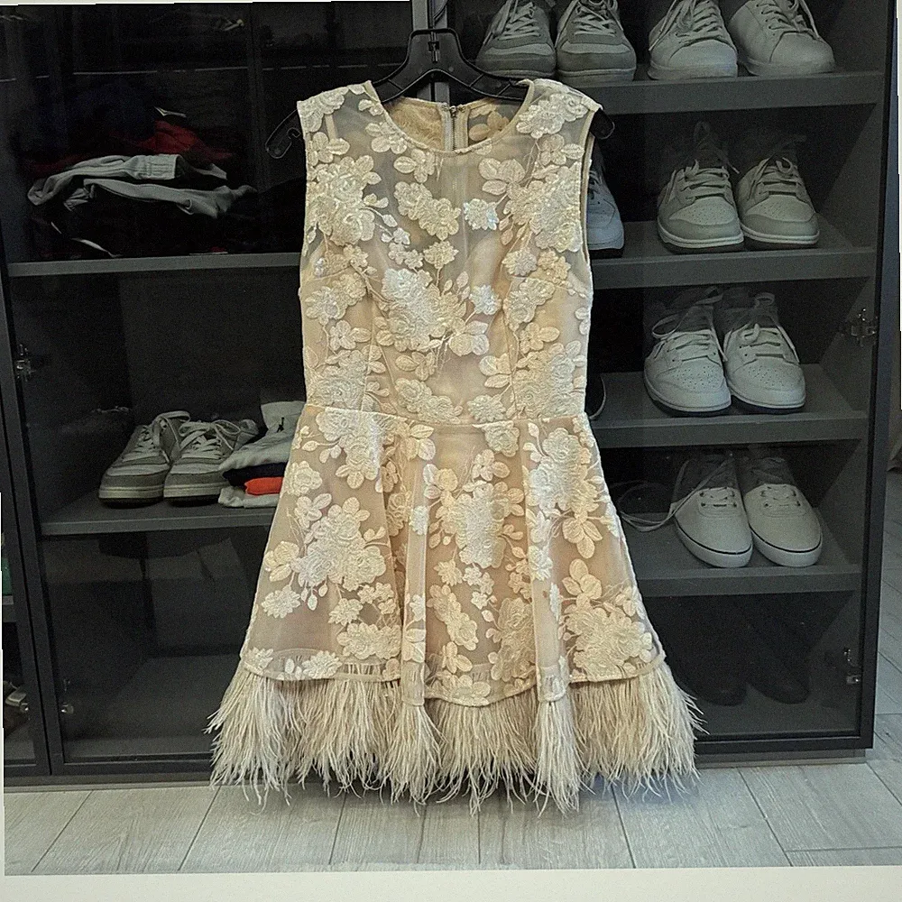 Bronx and Banco A-Linien Kleid Spitze Beige Gr. M ärmellos Pailletten Federn