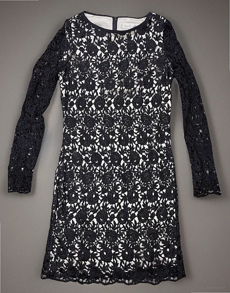 Damsel in a Dress Nude Schwarz Spitze Overlay Midi Etuikleid 12 Formal Cocktail