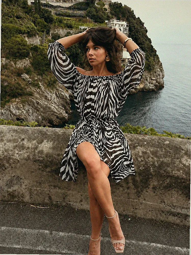 Dolce & Gabbana Kleid Zebra Print Seide Chiffon Streifen Gürtel transparent IT40