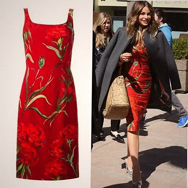 Dolce & Gabbana SS2015 Floral Carnations Print Red Cady Dress IT38