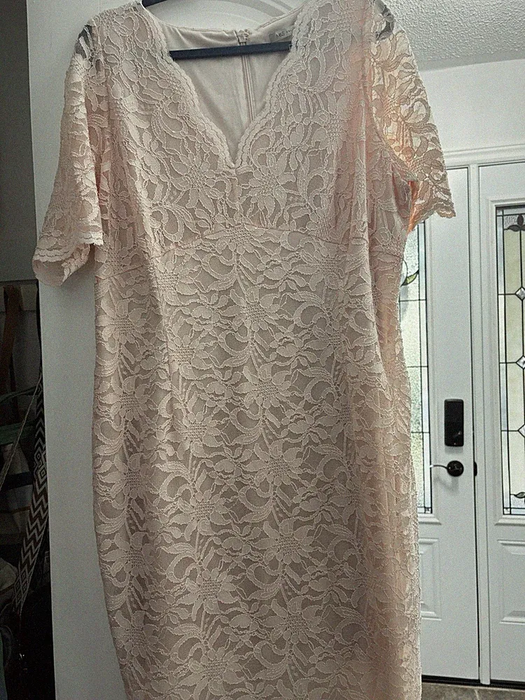 Gorgeous Pale Shell Pink Lace Dress for Wedding Guest/summer. Size 2X-USA /22 UK