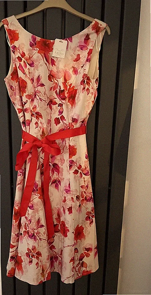 Kaliko Größe 10 rot/elfenbein Rosenmuster Fit Flare Anlass Hochzeit Gast Kleid neu mit Etikett