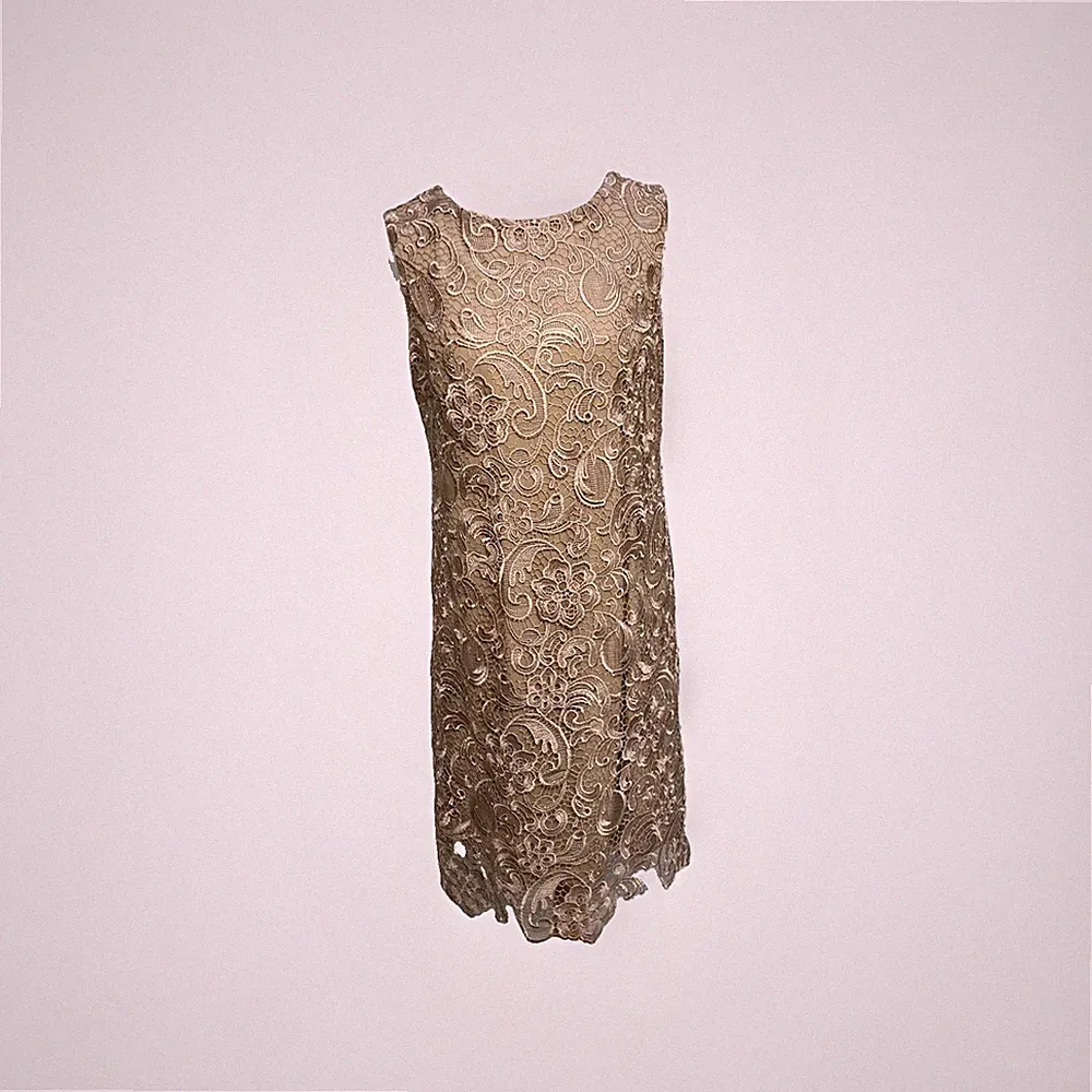 M&Co Etuikleid Gold Spitze UK 14 Anlass Midi Ärmellos Party Hochzeit Gast