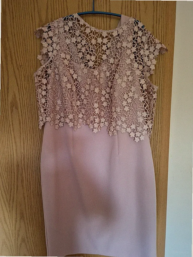 Phase Eight Damen Etuikleid Spitze ärmellos knielang Gr. 42 Rosa elegant