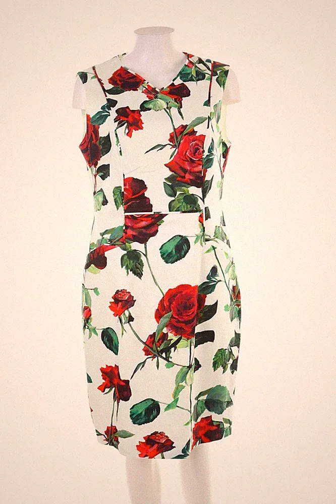Phase Eight Kleid Etuikleid XL weiß