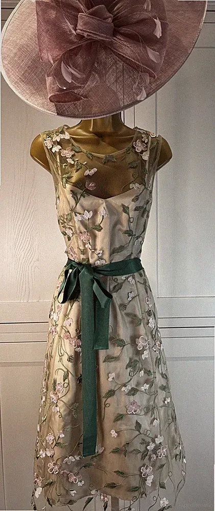 Phase Eight UK 10/12 Kleid Hochzeit Mutter Bräutigam Gast Rennen Party Anlass